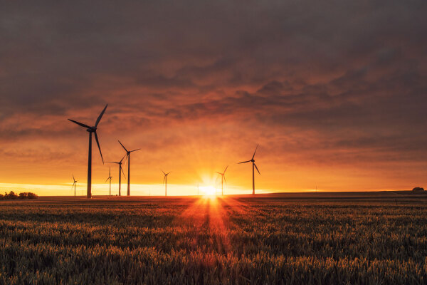 NSI is now ISO 14001 certified
